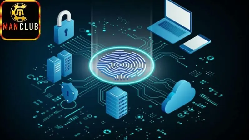 Mẹo và lời khuyên thực tế cho người dùng